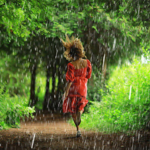 Прогноз погоды во Владимирской области 7 сентября