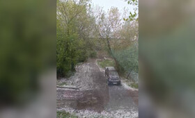 Майский снегопад во Владимире показали на видео