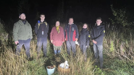 Во Владимирской области волонтеры полдня искали заблудившихся грибников