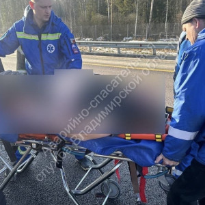 В ДТП с «Ладой» на М-12 в Судогодском районе погиб 41-летний пассажир