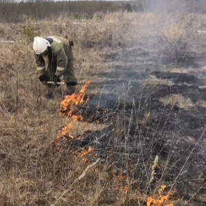 Во Владимирской области за сутки потушили 12 ландшафтных пожаров