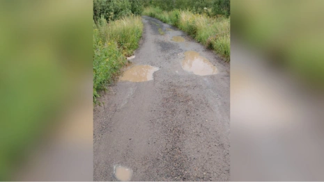 Жители деревни под Александровом потратили миллион рублей на заплатки ям