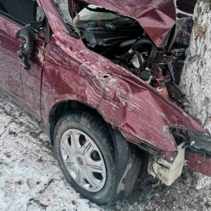 Водитель Lifan врезался в дерево в центре Коврова: пострадал ребенок