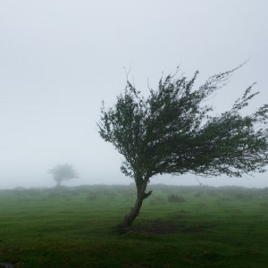 Во Владимирской области продлили штормовое предупреждение 