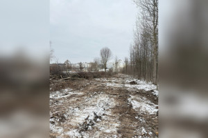 Во Владимире начали строительство съезда с Октябрьского проспекта