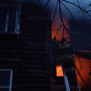 На пожаре под Александровом погибла 83-летняя пенсионерка