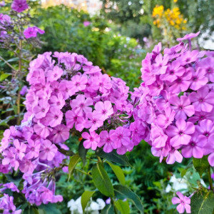 Прогноз погоды во Владимирской области на 12 августа