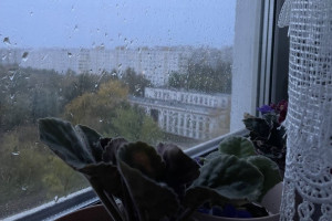 Прогноз погоды во Владимирской области на 2 июля 2025 года