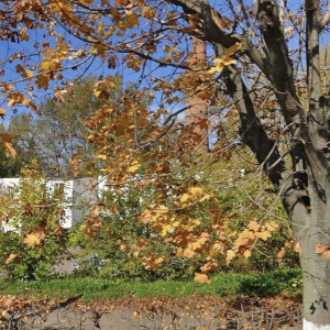 Во Владимире решили снести котельную у ВлГУ