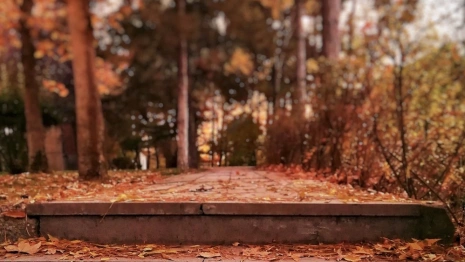 Прогноз погоды во Владимире на 9 ноября