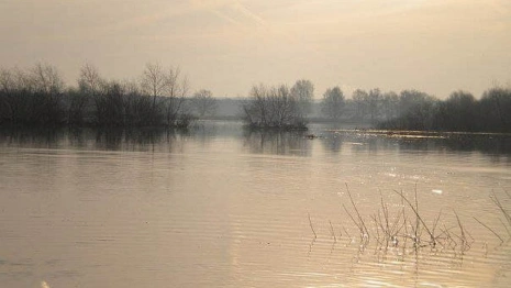 Спасатели сообщили о риске подтопления 23 населенных пунктов во Владимирской области