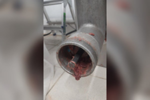 В одном из ТЦ во Владимире руку мужчины затянуло в промышленную мясорубку