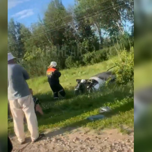 Во Владимирской области в ДТП с фурой погиб 29-летний водитель