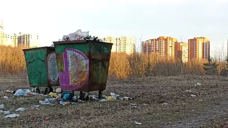 Во Владимире установят следящие за состоянием мусорных площадок видеокамеры