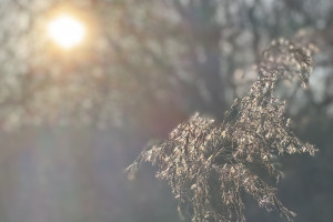 Во Владимирской области потепление придет к концу выходных