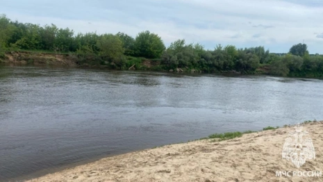 В Вязниках на Клязьме утонул мужчина