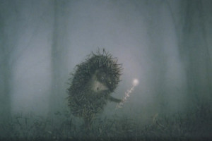 Во Владимирской области стартовал фестиваль мультфильмов