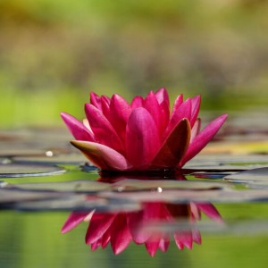 Прогноз погоды на 18 июня во Владимирской области