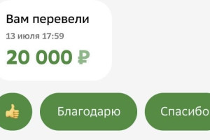 Владимирцев предупредили о новой схеме мошенников с банковскими переводами