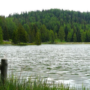 Во Владимирской области утонули еще два человека
