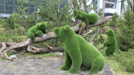 Во Владимире установят зеленые скульптуры медведей и льва