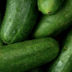 Во Владимирской области подорожали огурцы и картофель