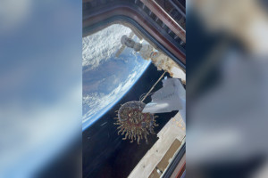 В космосе показали ювелирные изделия из Покрова