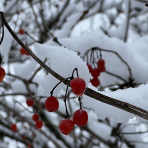 Прогноз погоды во Владимирской области на 14 февраля