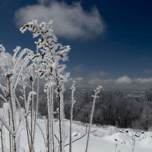 Прогноз погоды во Владимире и области на 20 февраля