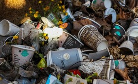 
Во Владимирской области на сельских мусорных площадках нашли нарушения