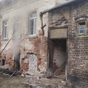 Спасатели вытащили из огня 2 кроликов при пожаре в Муроме