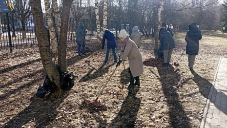 Появились итоги первого субботника во Владимирской области