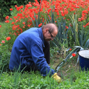 Во Владимире огородами в Семязино пожертвуют ради ремонта аэродрома 