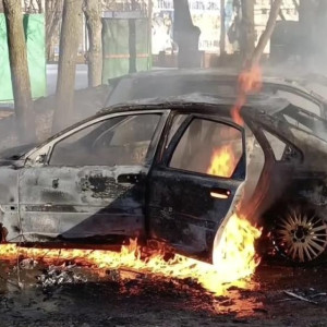 Во Владимире пожар в центральном парке уничтожил две машины