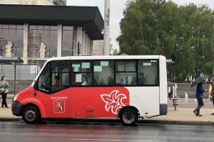 Во Владимире на забывшего поставить камеры в автобусах перевозчика подали в суд
