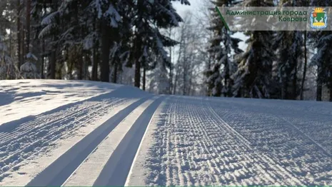 На лыжной трассе в Коврове открылся новый сезон