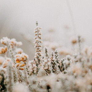 Прогноз погоды во Владимирской области на 4 января