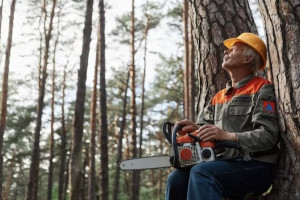 Во Владимире пилившие деревья рабочие начали угрожать прохожей с ребенком