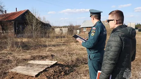 Во Владимирской области нашли заросший сухостоем участок