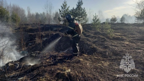 За сутки во Владимирской области сухая трава загорелась в 11 местах