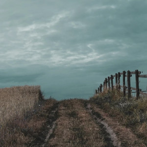 Во Владимирской области жители сел собрали почти 6 млн рублей на благоустройство