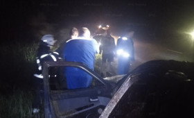 В Гусь-Хрустальном ночью легковушка сбила лося
