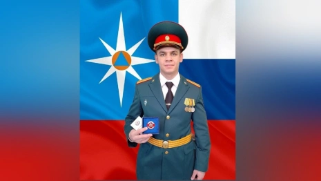 Во Владимирской области спасателя наградили за разбор завалов и разминирование в зоне СВО