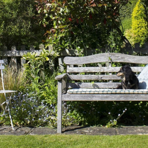 От 5 до 45 тысяч в месяц. Какие дачи и за сколько можно снять на лето во Владимирской области