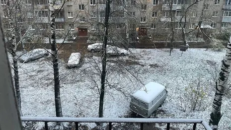 Владимир накрыло первым снегом