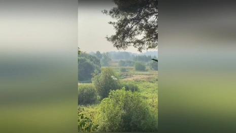 Гарь и смог от пожаров добрались до еще одного крупного города во Владимирской области