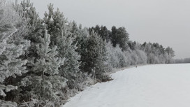 Волонтеры прекратили поиски 61-летней жительницы Мурома в красной куртке