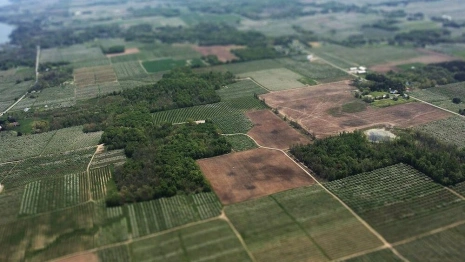 Мэр Суздаля назвал преждевременным строительство дорог к участкам для многодетных