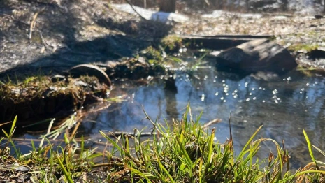 Прогноз погоды на 2 апреля 2024 года во Владимире и области