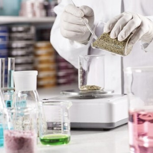 Причиной загрязнения реки Рпень во Владимире стало превышение ацетона